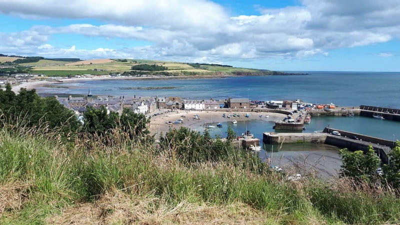 From Aberdeen: Guided Day Trip, Coast & Castle Visit - Why this small Aberdeenshire trip works