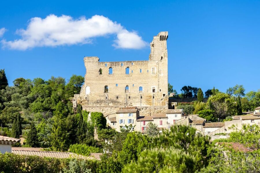 From Aix-en-Provence: Châteauneuf du Pape Wineries Day Trip - Should you book the Châteauneuf-du-Pape day trip?