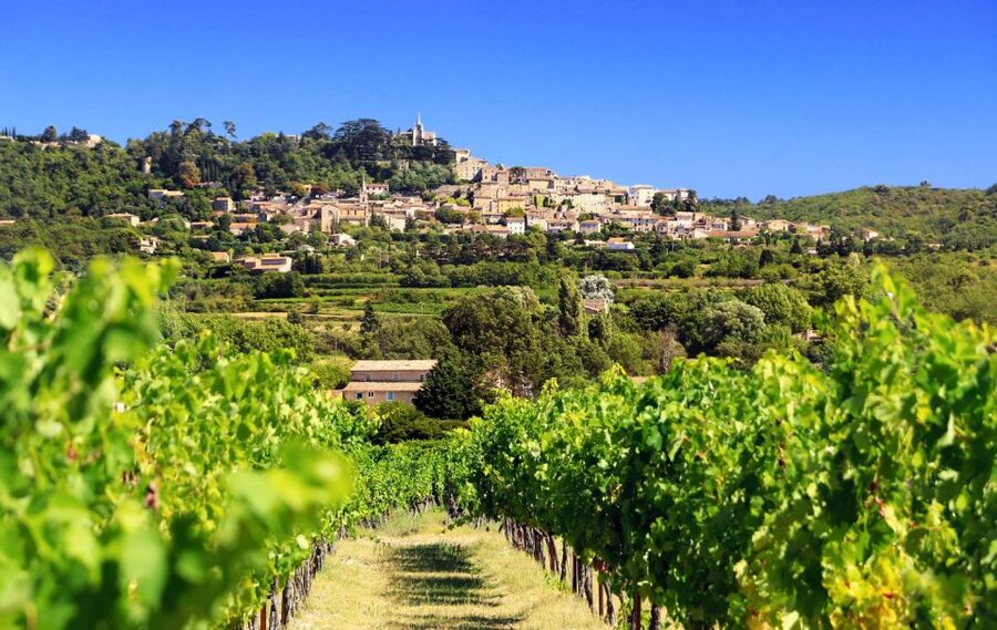 From Aix-en-Provence: Châteauneuf du Pape Wineries Day Trip - The first winery: a guided introduction to local wine