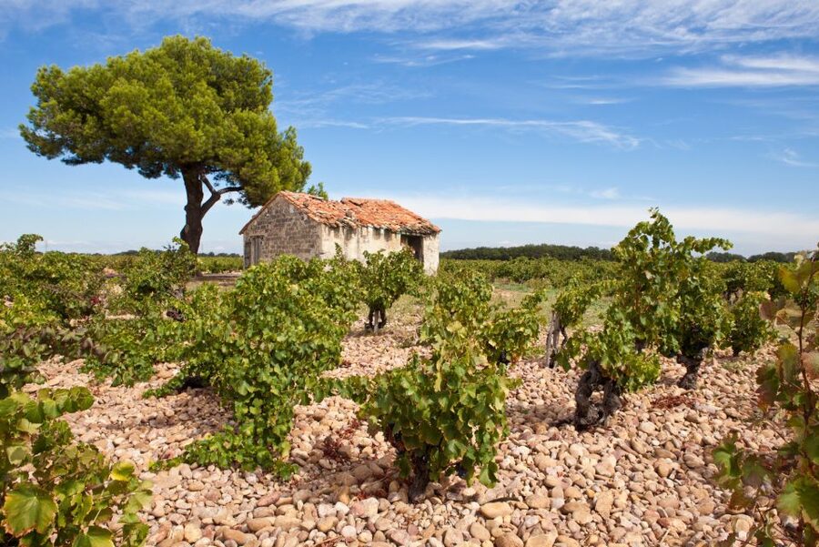 From Aix-en-Provence: Châteauneuf du Pape Wineries Day Trip - Châteauneuf-du-Pape village and the old castle