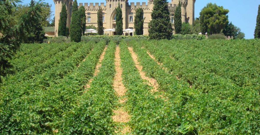 From Aix-en-Provence: Châteauneuf du Pape Wineries Day Trip - The ride back to Aix and the value of the day