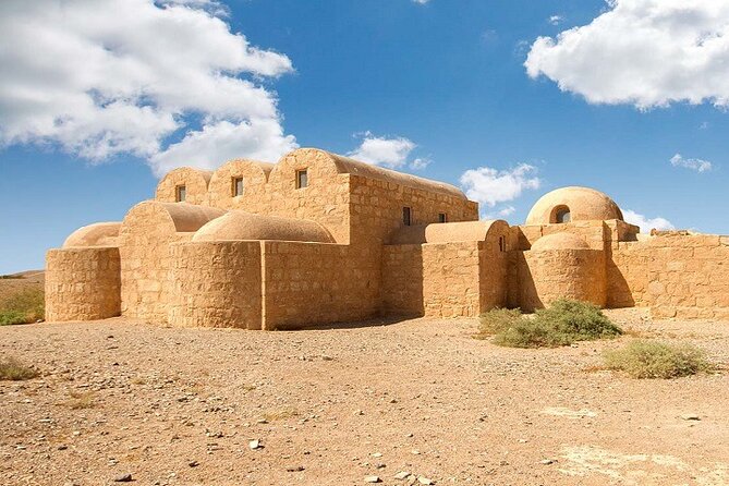From Amman: Full-Day tour Amman city tour and desert castles - What the private car changes