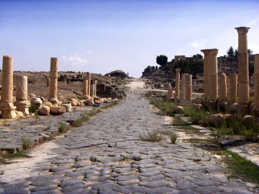 From Amman: Jerash, Ajloun Castle or Umm Qais Private Tour - Why this private northern Jordan tour works