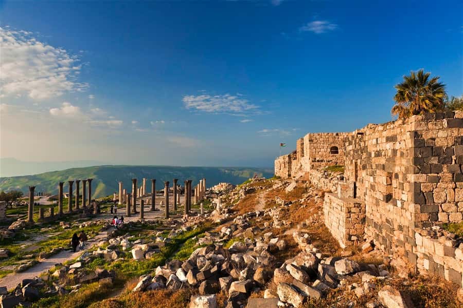 From Amman: Jerash, Ajloun Castle or Umm Qais Private Tour - My booking advice