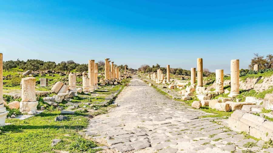 From Amman: Private Jerash, Ajloun Castle, and Umm Qais Tour - Choosing the right route for your day