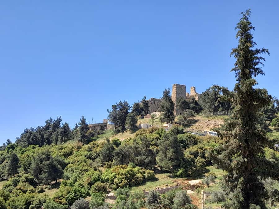 From Amman: Private Jerash, Ajloun Castle, and Umm Qais Tour - Practical advice before you leave Amman