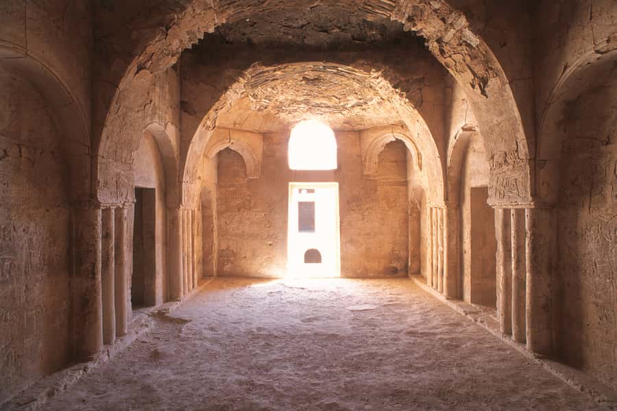 From Amman: Umayyad Desert Castles Tour with Transfer - How much does the $82 price buy you?