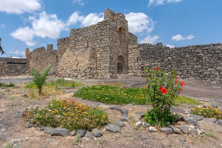 From Amman: Umayyad Desert Castles Tour with Transfer - Who will enjoy this tour most?