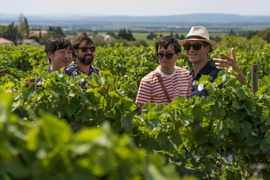 From Avignon: Luberon and Chateauneuf-du-Pape Full-Day Tour - Key points to know before booking