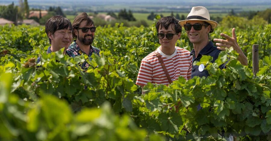 From Avignon: Luberon and Chateauneuf-du-Pape Full-Day Tour - Roussillon and the ochre country