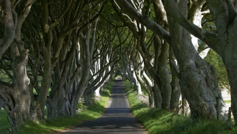 From Belfast: Giant's Causeway, Dunluce Castle & Dark Hedges - Leaving Belfast for the Causeway Coast