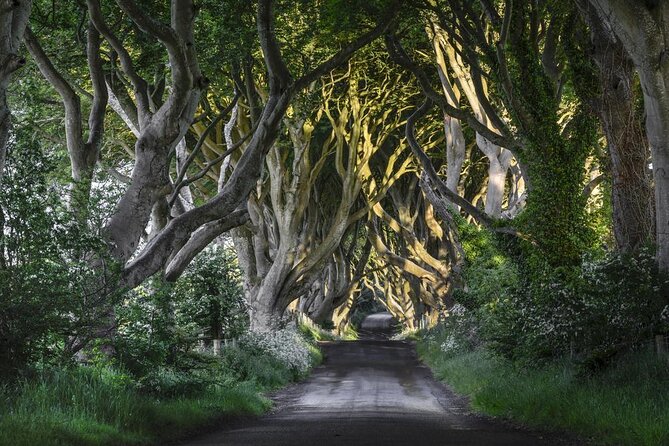 From Belfast-Giants Causeway, Dunluce Castle and Dark Hedges tour - Quick facts worth knowing