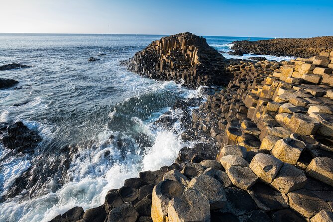 From Belfast-Giants Causeway, Dunluce Castle and Dark Hedges tour - Dark Hedges: beautiful, brief, and not for everyone