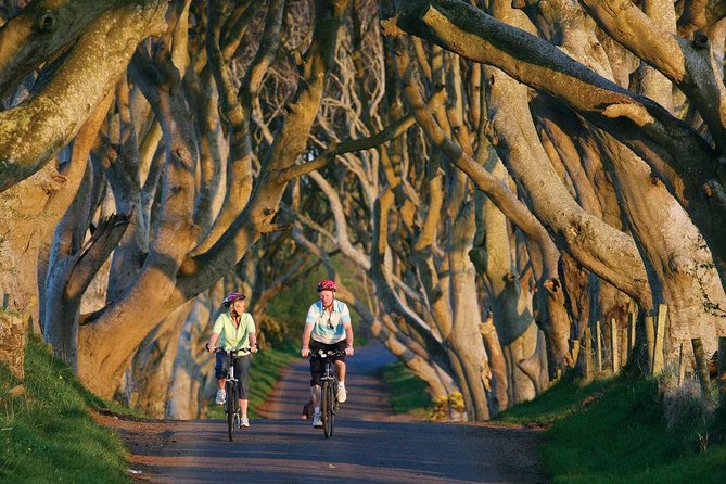 From Belfast-Giants Causeway, Dunluce Castle and Dark Hedges tour - Should you book the Belfast Giant’s Causeway tour?