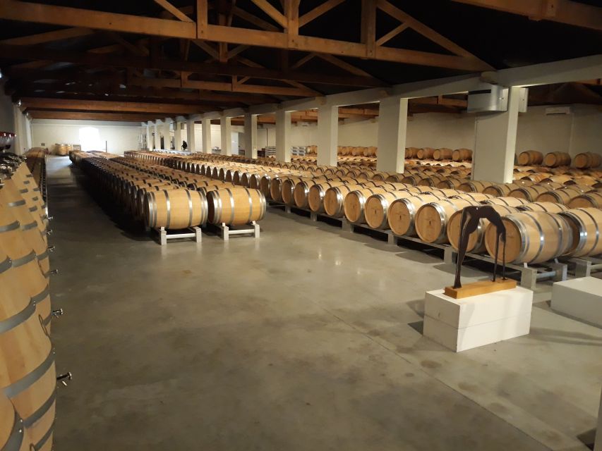 From Bordeaux: Médoc Vineyard and Chateau Tour by Sidecar - Comfort, safety, and practical limits