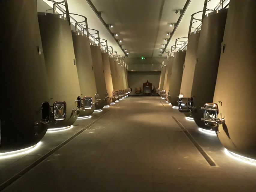 From Bordeaux: Médoc Vineyard and Chateau Tour by Sidecar - Who will enjoy this Médoc tour most