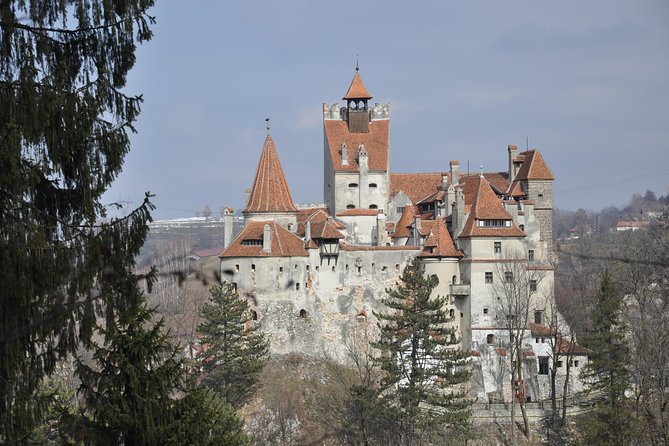 From Brasov: Discover Bran Castle and Râșnov Fortress - Why this Brașov day trip works well