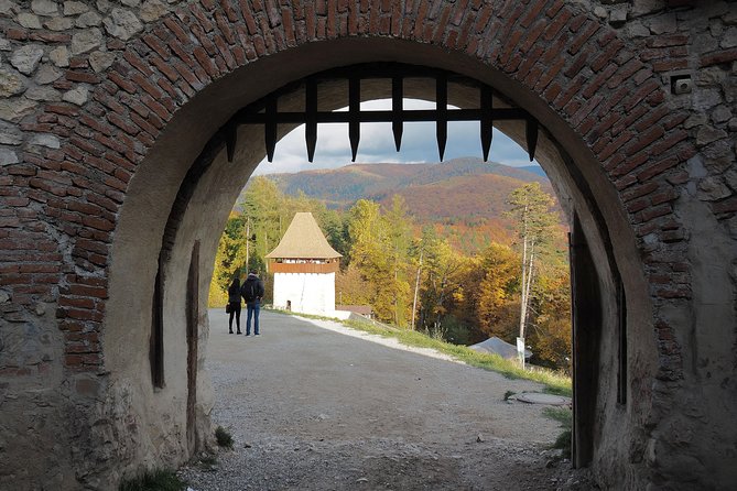 From Brasov: Discover Bran Castle and Râșnov Fortress - Râșnov Fortress is a changed experience right now