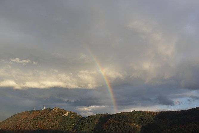 From Brasov: Discover Bran Castle and Rasnov Fortress - A major change inside Bran Castle