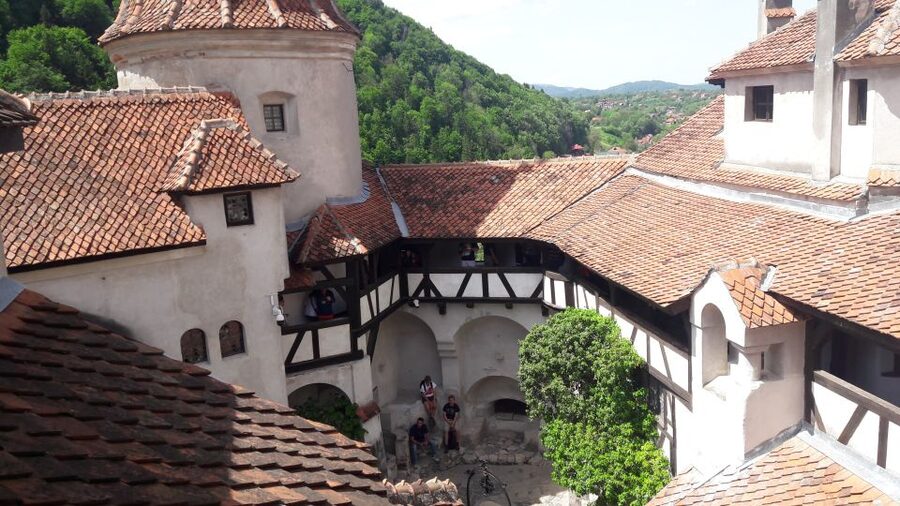 From Brasov: Peles Castle, Bran Castle & Cantacuzino Castle - Why this three-castle route works