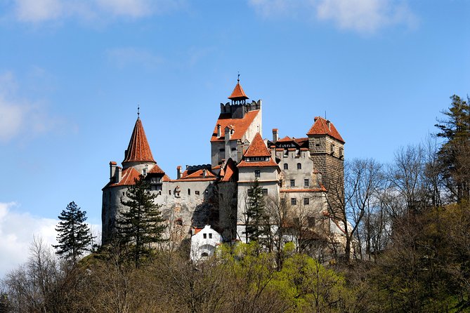 From Brasov: Small-group tour Bran, Rasnov, and Peles Castles - Why this day trip works from Brașov