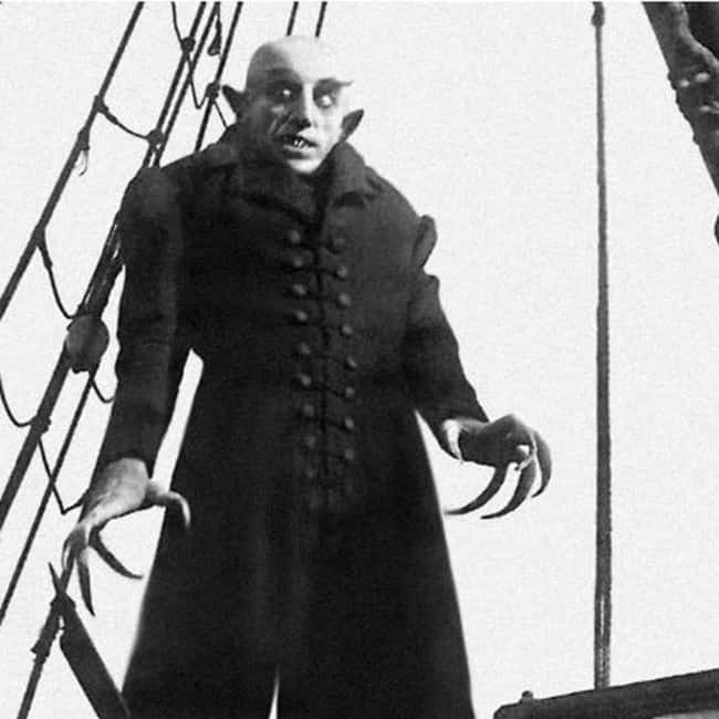 From Bratislava: Dracula Nosferatu - Orava Castle Day Tour - Timing, comfort, and practical limits