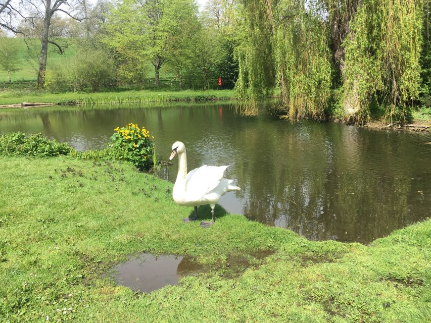 From Brighton: Leeds Castle & Canterbury Full-Day Trip - Hawks, eagles, and a castle setting for photographs