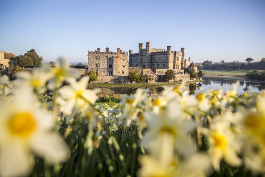 From Brighton: Leeds Castle & Canterbury Full-Day Trip - Leeds Castle: gardens, history, and plenty of room to roam
