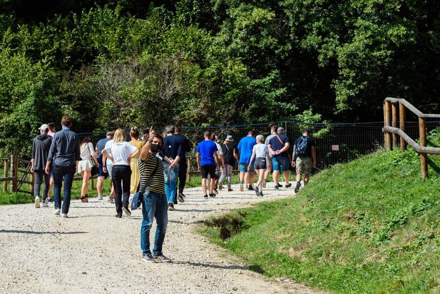 From Bucharest: Bear Sanctuary and Dracula Castle Day Tour - A practical look at the eight-hour route
