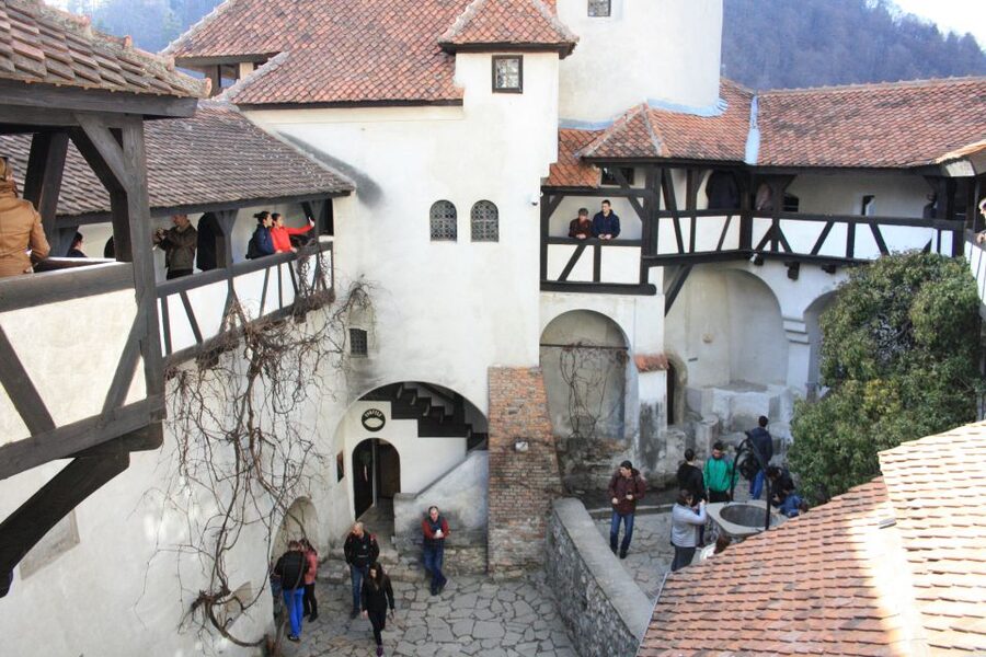 From Bucharest: Bear Sanctuary and Dracula Castle Day Tour - What the small group adds