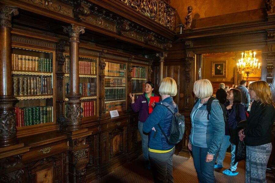 From Bucharest: Brasov Peles & Dracula's Castle Day Tour - What the $65 Price Really Covers