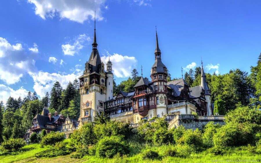 From Bucharest: Day Trip to Dracula and Peles Castle - Transport, timing, and comfort