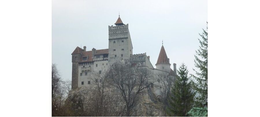 From Bucharest: Dracula Castle Day Trip - The guide can make or break the experience