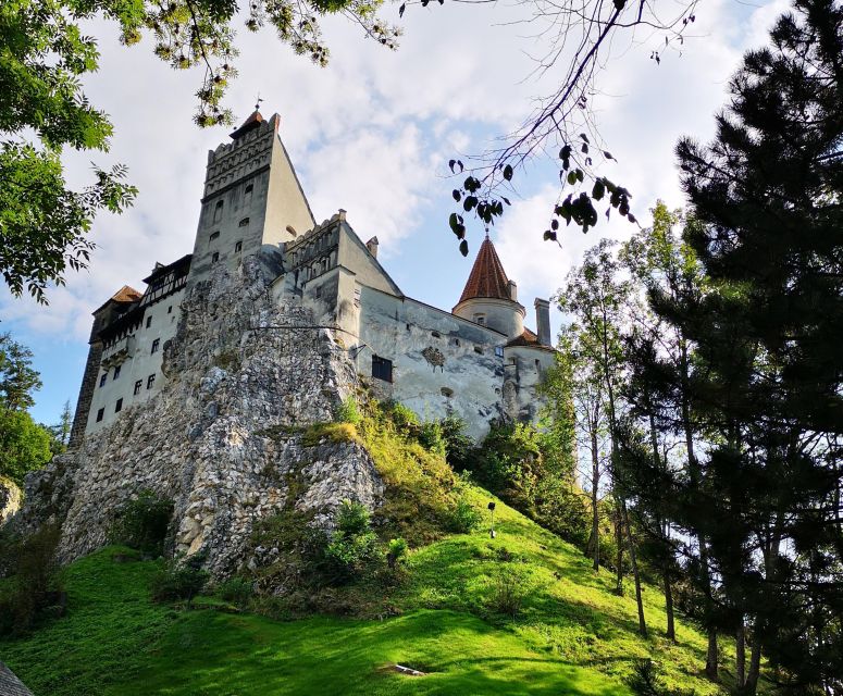 From Bucharest: Dracula Castle Day Trip - Who should book this private trip