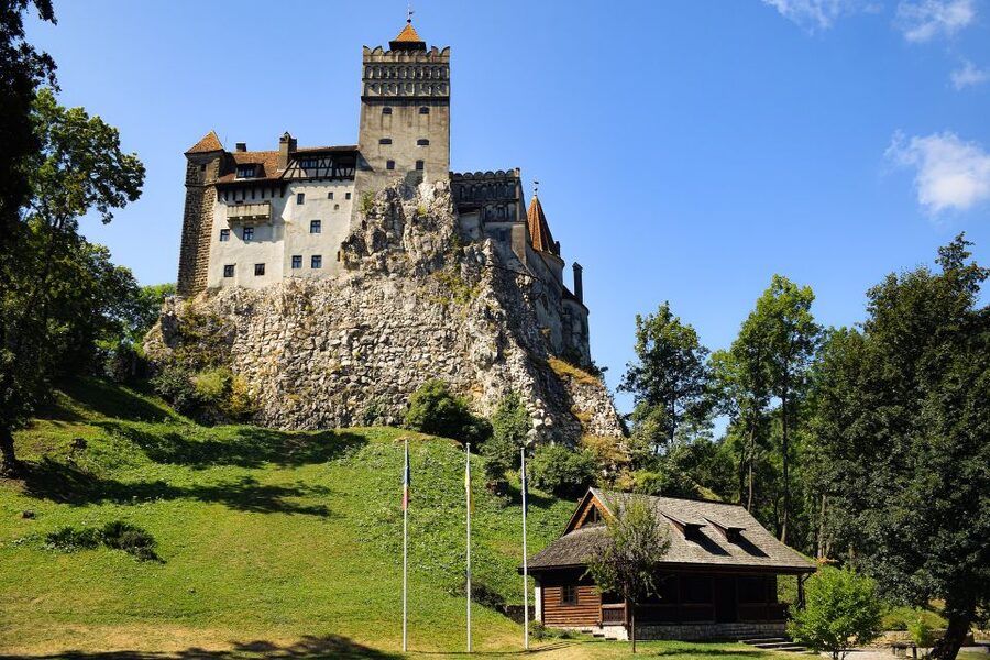 From Bucharest: Libearty Bear Sanctuary and Dracula's Castle - Libearty Bear Sanctuary: a better model for bear tourism