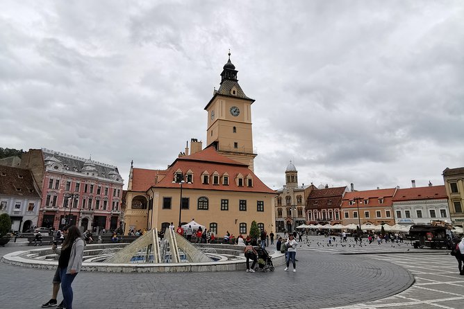From Bucharest: Transylvania & Dracula's Castle tour in one day! - The guide and vehicle make the difference