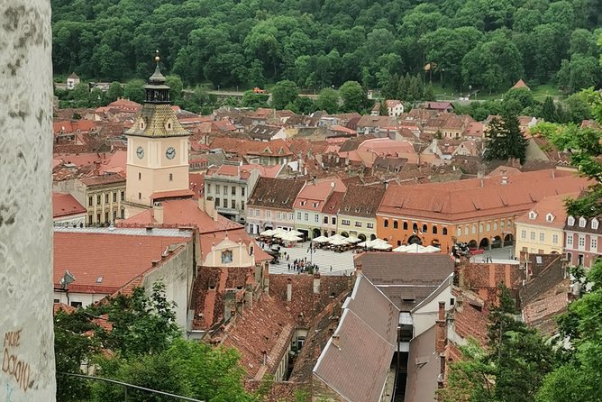 From Bucharest: Transylvania & Dracula's Castle tour in one day! - Is $302.46 per person good value?