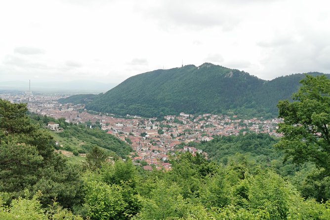 From Bucharest: Transylvania & Dracula's Castle tour in one day! - Who will enjoy this tour most?
