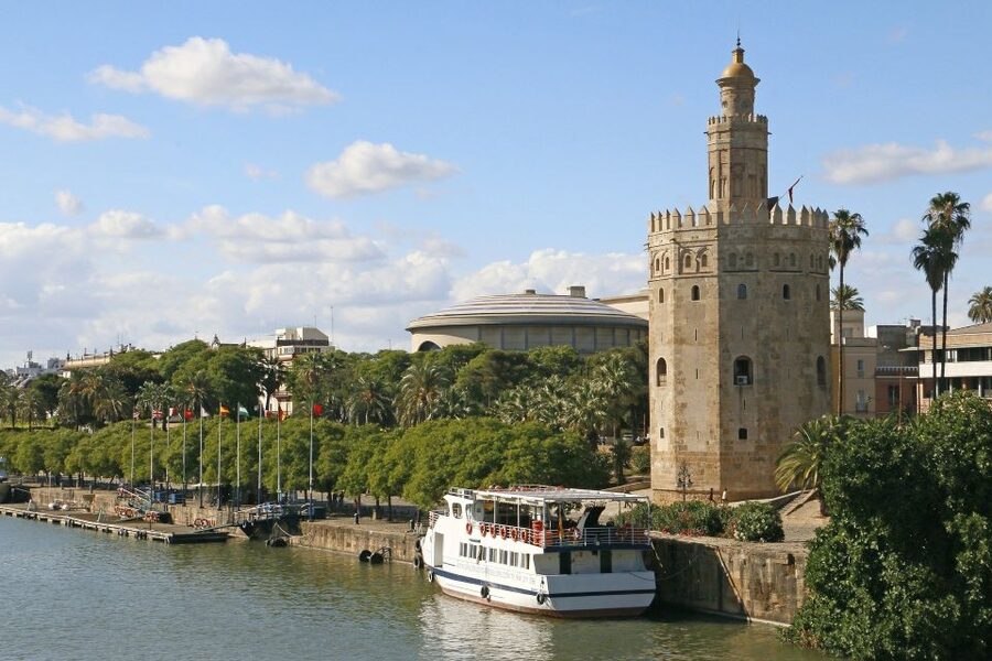From Cadiz: Private Seville Day Trip, Cathedral & Alcazar - What the driver and guide add