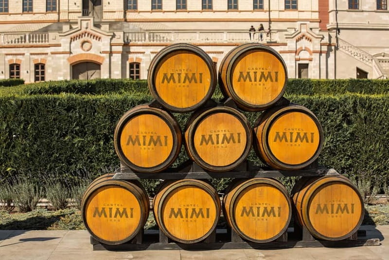 From Chisinau:Transnistria and Castle Mimi Winery by car - Castel Mimi Winery in Bulboaca