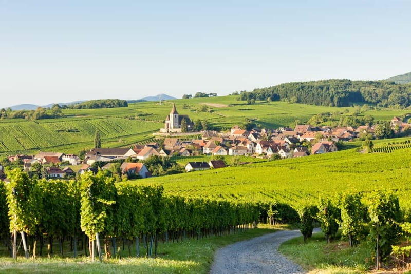 From Colmar: Haut-Koenigsbourg Castle and Villages Day Tour - Why this day works well from Colmar
