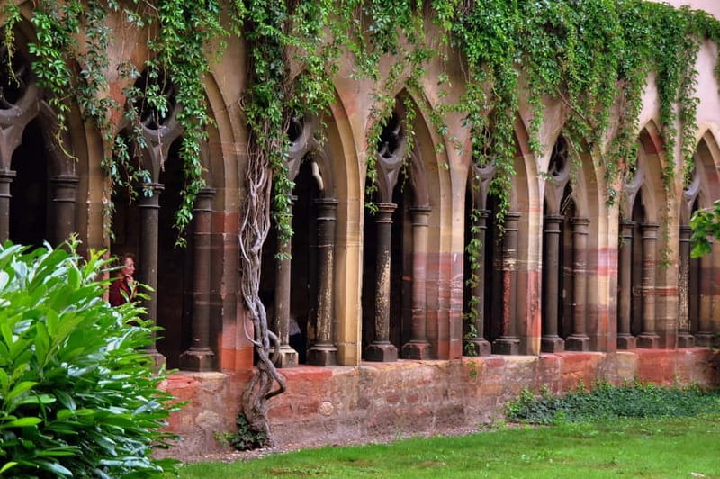 From Colmar: Haut-Koenigsbourg Castle and Villages Day Tour - Riquewihr brings history and free time