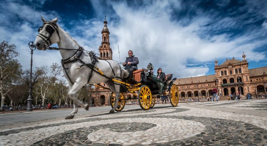 From Costa del Sol: Seville and Royal Alcázar Palace - Key points at a glance