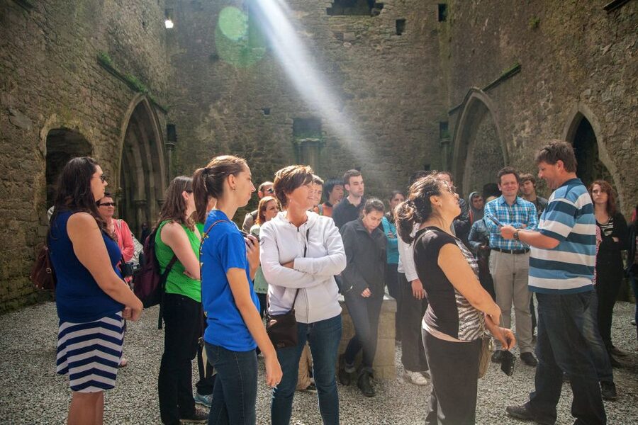From Dublin: Blarney, Rock of Cashel and Cahir Castles Tour - Who should book this tour
