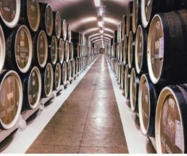 From Durres Golem: Cape of Rodon Castle & Wine Tasting Tour - Public Beach And A Chance To Swim