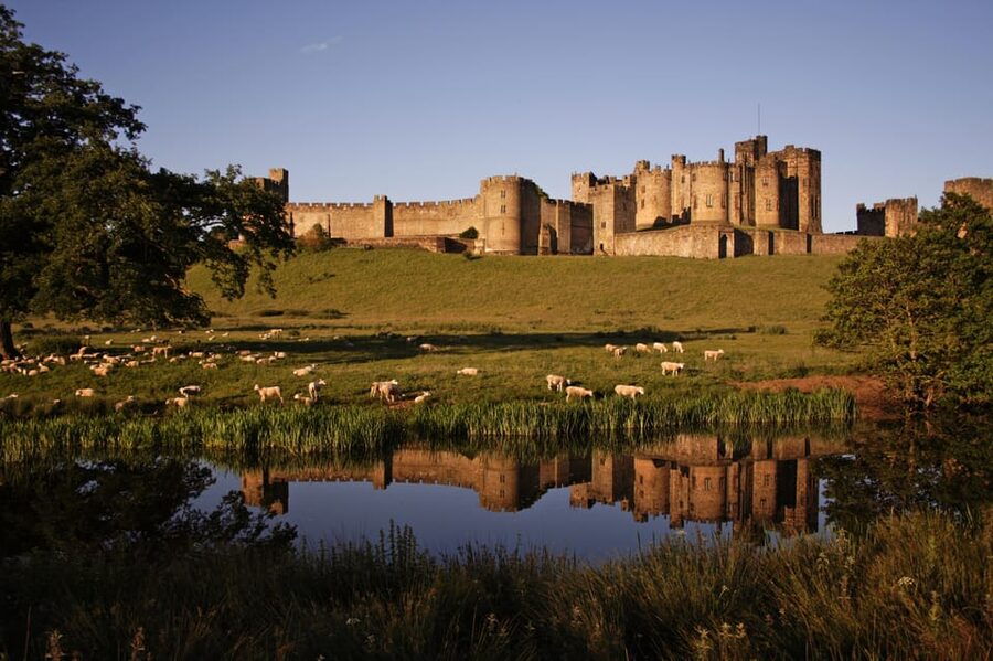 From Edinburgh: Holy Island, Alnwick Castle & Northumbria - Five things to know before you book