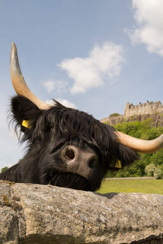 From Edinburgh: Loch Lomond, Stirling Castle & Kelpies Tour - Loch Lomond from Balloch to the water