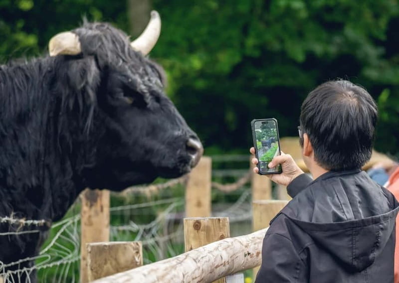 From Edinburgh: Stirling Castle, Kelpies and Loch Lomond - The day in five useful points