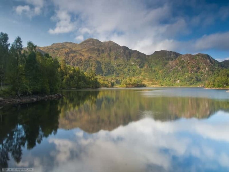 From Edinburgh: Stirling Castle, Kelpies and Loch Lomond - Highland cattle add a friendly Scottish moment
