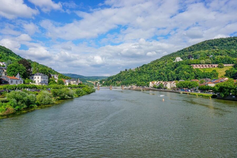 From Frankfurt: Heidelberg, Castle and Old City Guided Tour - Guides who shape the day